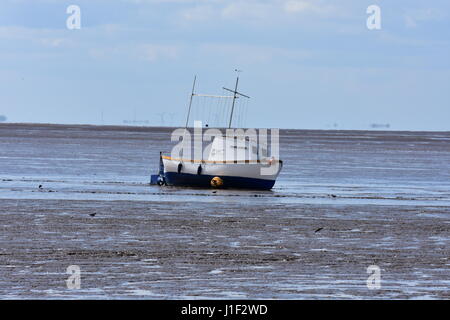 Barca bloccati su una banca di fango sulla spiaggia Snettisham a bassa marea, Snettisham, Norfolk, Regno Unito Foto Stock