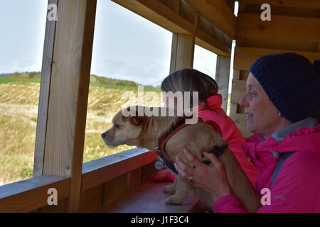Donna, ragazza e cane guardando fuori da un RSPB nascondi su una riserva naturale Foto Stock