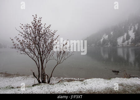 Naturschutzgebiet Vilsalpsee in den Österreichischen Alpen . Bundesland Tirol, Bezirk Reutte Foto Stock