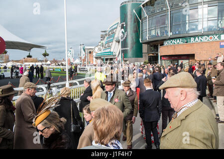 Gare,a,ai cavalli da corsa,a,L'Aintree,Goffs,cavallo,d'aste,Liverpool, Merseyside,l'Inghilterra,città,città,Nord,Nord,l'Inghilterra,inglese,UK.,U.K.,Gran Bretagna, Foto Stock