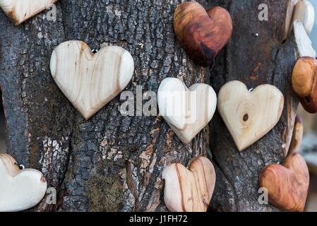 Alcuni di legno forme di cuore sul tronco di albero Foto Stock