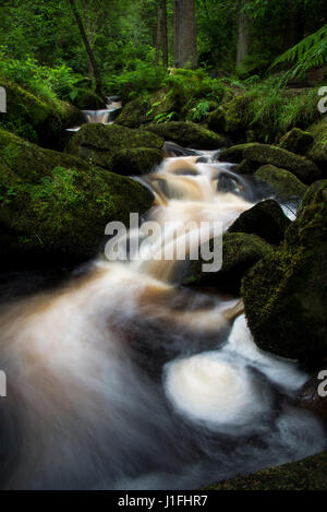 Flusso roccioso a Wyming brook riserva naturale, Sheffield South Yorkshire, Inghilterra. Foto Stock