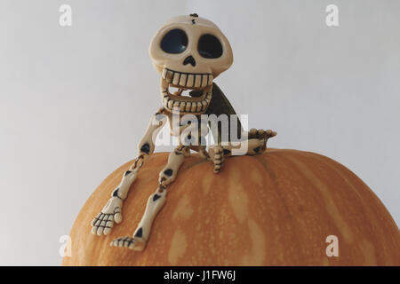 Lo scheletro di divertente seduta sulla cima di una zucca come una composizione di halloween, isolato su sfondo bianco Foto Stock