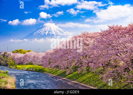 Mt. Fuji, il Giappone e il fiume in primavera. Foto Stock