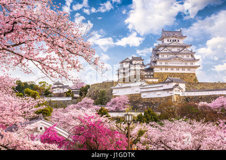 Himeji, Giappone presso il castello di Himeji nella stagione primaverile. Foto Stock