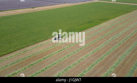 Mietitrebbia in un campo verde - immagine aerea Foto Stock