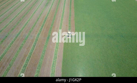 Mietitrebbia in un campo verde - immagine aerea Foto Stock