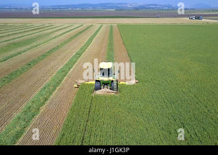 Mietitrebbia in un campo verde - immagine aerea Foto Stock