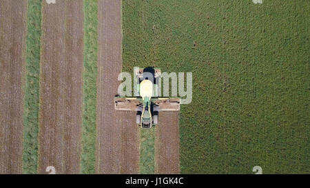 Mietitrebbia in un campo verde - immagine aerea Foto Stock
