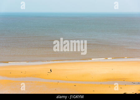 Una donna sola a piedi su un grande vuoto spiaggia sulla Costa North Norfolk Regno Unito in una giornata di sole Foto Stock