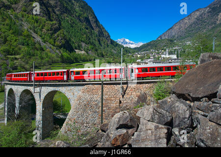 Il passaggio di Brusio Helicidal viadotto del Bernina trenino rosso su una bella giornata di primavera Foto Stock