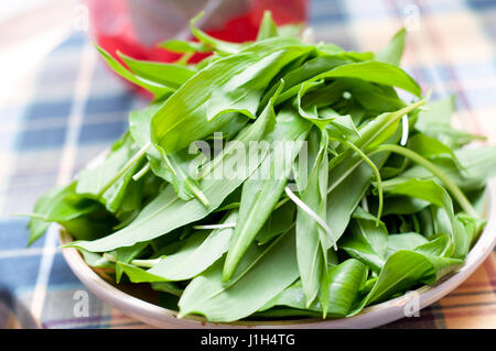 Aglio selvatico, ramsons sul tavolo di legno closeup Foto Stock