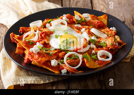 Mexican nachos con salsa di pomodoro, pollo e uovo close-up su una piastra orizzontale. Foto Stock