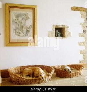 Due cani giacente in dog beds. Foto Stock