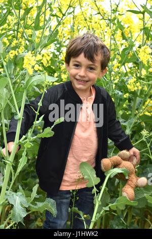 4 anno vecchio little boy in un olio di colza canola field di fiori gialli con teddy Foto Stock