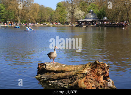 West Lake Victoria Park Grove Road, East London E3 Foto Stock