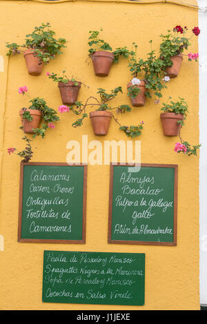 Poster di ardesia scritto con il menu di ristoranti tipici, decorazione Andalusa e pentole molto colorato a Cadice, Andalusia, Spagna Foto Stock