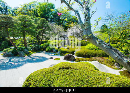 Il giardino di roccia, o karesansui, a Meigetsu-nel tempio di Kamakura, Giappone Foto Stock