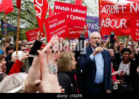 Whitchurch comune, Cardiff, Galles del Sud, Regno Unito. Il 21 aprile 2017. Leader laburista Jeremy Corbyn stava parlando a migliaia di oggi ad un raduno di lavoro per la sua prima visita in Galles della campagna elettorale. Credito: Andrew Bartlett/Alamy Live News Foto Stock