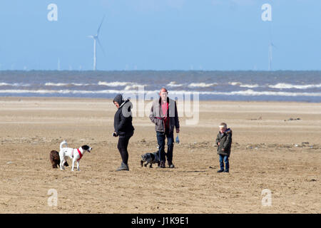 Ainsdale, Merseyside, 22 aprile 2017. Regno Unito Meteo. Un freddo vento del nord non smette di cane walkers tenendo i loro amati animali domestici per una corsa al sole come le persone fanno la maggior parte del sole di primavera sulla spiaggia Ainsdale nel Merseyside. Credito: Cernan Elias/Alamy Live News Foto Stock