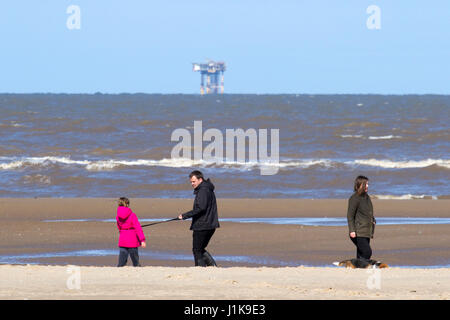 Ainsdale, Merseyside, 22 aprile 2017. Regno Unito Meteo. Un freddo vento del nord non smette di cane walkers tenendo i loro amati animali domestici per una corsa al sole come le persone fanno la maggior parte del sole di primavera sulla spiaggia Ainsdale nel Merseyside. Credito: Cernan Elias/Alamy Live News Foto Stock