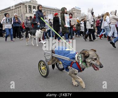 Kiev, Ucraina. 22 apr, 2017. Gli attivisti portano cartelli e gridare slogan, come essi con i loro cani prendere parte nel marzo internazionale per i diritti degli animali a Kiev in Ucraina, il 22 aprile 2017. Credito: Serg Glovny/ZUMA filo/Alamy Live News Foto Stock