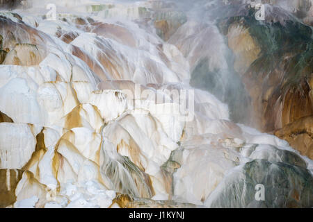 Mammoth Hot Springs in inverno, famoso colorate terrazze di travertino, patrimonio mondiale dell UNESCO, Natinal Yellowstone Park, Wyoming negli Stati Uniti. Foto Stock