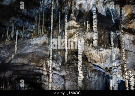 Stalattiti e stalagmiti e colonne nella grotta di pietra calcarea delle Grotte di Han-sur-Lesse / Grottes de Han, Ardenne belghe, Belgio Foto Stock