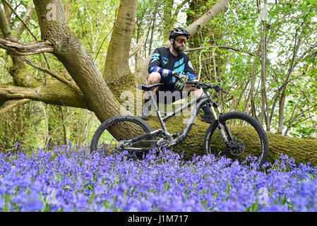 Mountain biker in blue bell campagna Foto Stock