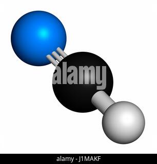 Acido cianidrico (HCN) poison molecola. È tipico di mandorla-come l'odore. Gli atomi sono rappresentati come sfere con i tradizionali colori: idrogeno (bianco), carbonio (grigio), Azoto (blu). Foto Stock