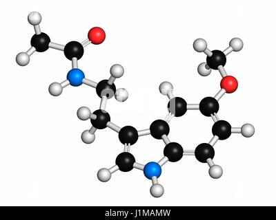 La melatonina ormone molecola. Negli esseri umani, svolge un ruolo importante nel ritmo circadiano la sincronizzazione. Gli atomi sono rappresentati come sfere con i tradizionali colori: idrogeno (bianco), carbonio (grigio), Ossigeno (rosso), Azoto (blu). Foto Stock