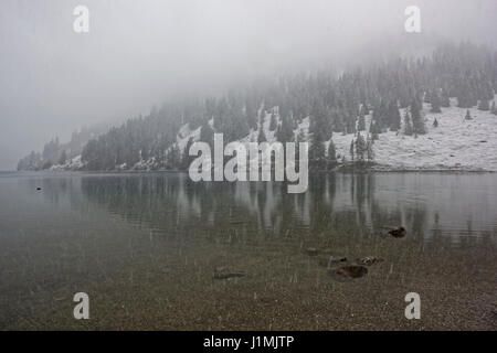 Naturschutzgebiet Vilsalpsee in den Österreichischen Alpen . Bundesland Tirol, Bezirk Reutte Foto Stock