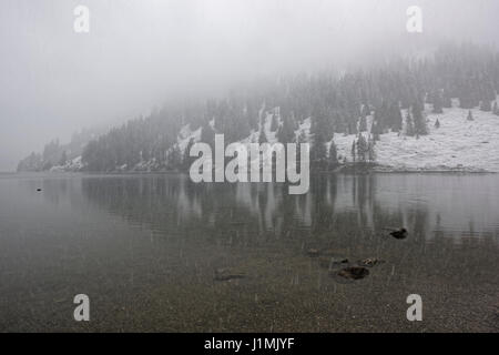 Naturschutzgebiet Vilsalpsee in den Österreichischen Alpen . Bundesland Tirol, Bezirk Reutte Foto Stock