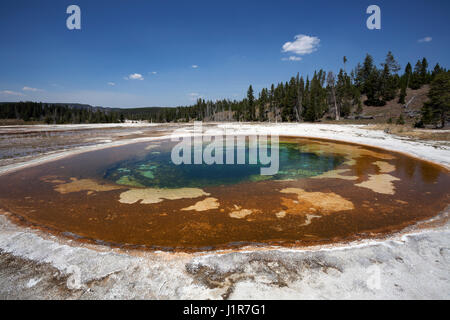 Beauty Piscina, Upper Geyser Basin, il Parco Nazionale di Yellowstone, Wyoming USA Foto Stock