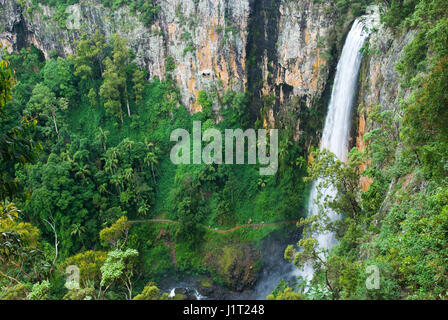Purling brook falls, Australia Foto Stock
