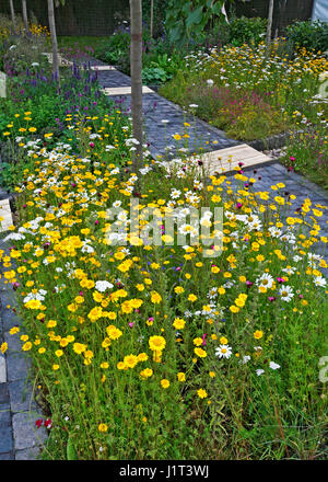 Un frutteto urbano giardino creato con alberi di mele e fiori selvatici per rendere un impegno e riparatoria dello spazio della città Foto Stock