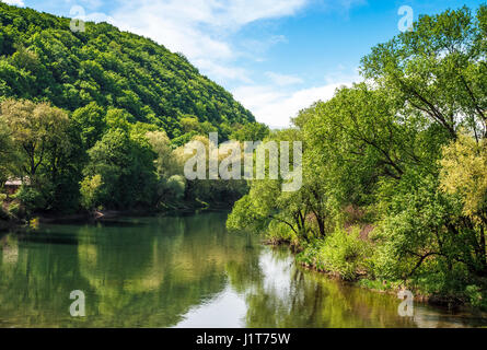 Fiume scorre tra di una foresta verde al piede della montagna. la natura pittoresca della zona rurale nei Carpazi. sereno estate tramonto sotto il cielo blu Foto Stock