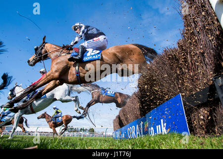 Fucile da caccia Paddy cavalcato da Daryl Giacobbe in azione durante il Coral Scottish Grand National Handicap Steeple Chase durante il corallo Scottish Grand National Day a Ayr Racecourse. Foto Stock