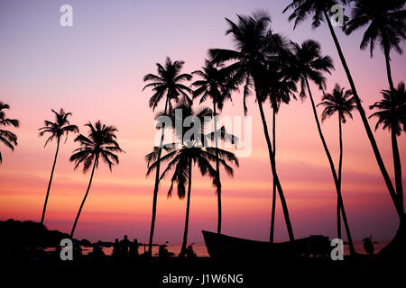 Stagliano di albero di cocco durante il sunrise Foto Stock