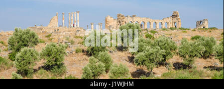 Antico sito storico di rovine Romane di Volubilis vicino a Meknes, Marocco, Africa. Foto Stock