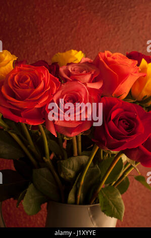 Luce calda sul rose multicolori in metallo annaffiatoio vaso Foto Stock