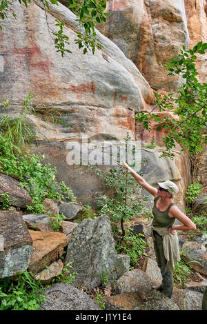 Guarda turistica sull'arte rupestre, antica San dipinti, Tsodilo Hills, Botswana, Africa Foto Stock