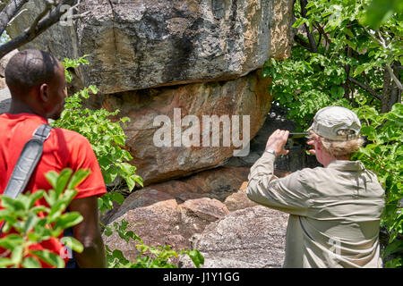 Turistiche e guide alla ricerca sull'arte rupestre, antica San dipinti, Tsodilo Hills, Botswana, Africa Foto Stock