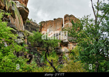 Arte rupestre, antica San dipinti, Tsodilo Hills, Botswana, Africa Foto Stock