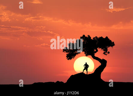 L'uomo sotto il vecchio albero sullo sfondo del sole giallo. Silhouette di una permanente uomo sportivo sulla montagna e colorato orange sky con le nuvole Foto Stock