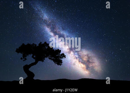 Via Lattea con sola vecchio albero sulla collina. Colorato paesaggio notturno con via lattea, sky con stelle e colline in estate. Sfondo spazio Foto Stock