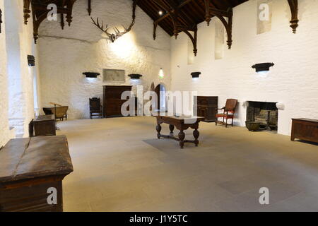 Interno del Castello di Cahir in Irlanda Foto Stock