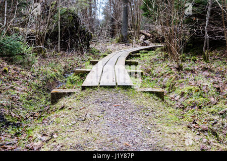 Passerella in legno nella torbiera in campagna circondata da una foresta Foto Stock