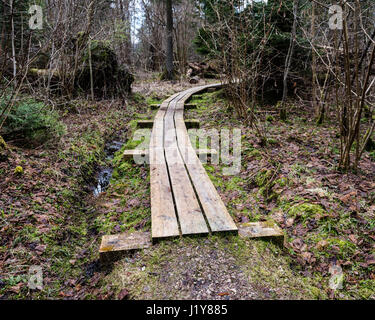 Passerella in legno nella torbiera in campagna circondata da una foresta Foto Stock