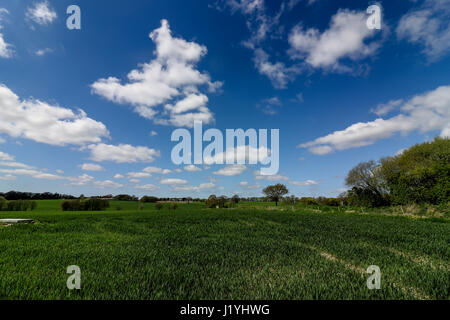 Ashton in Makerfield paesaggi aprile 2017, mostra varie spazio aperto,i campi e il cielo in un giorno di sole Foto Stock